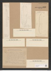 Nitzschia mitchelliana Greenlaef. (de-Toni-Nr.: Genus 47, Species 2051) Zeichnungen Sammlung Grunow Nr. 4058 (NHMW-BOT-W0371891)